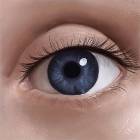 realistic eye  lilytreeart  deviantart