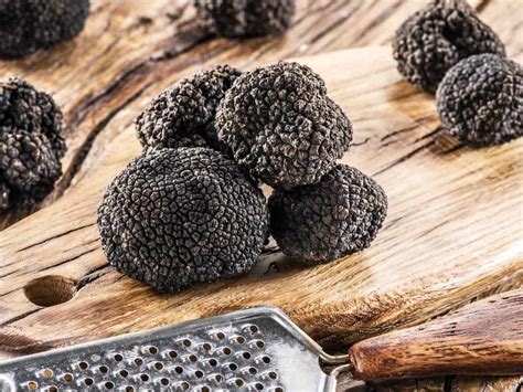 IL TARTUFO, ORO PER LA TUA SALUTE - Cibum
