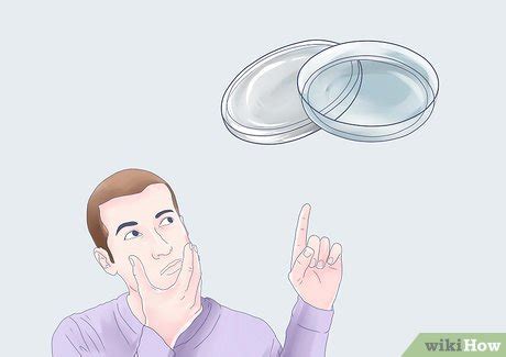 how to grow bacteria at home