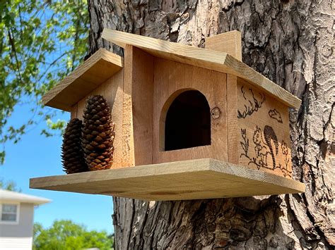 Squirrel House/nesting Box - Etsy | Squirrel home, Bird houses, Squirrel