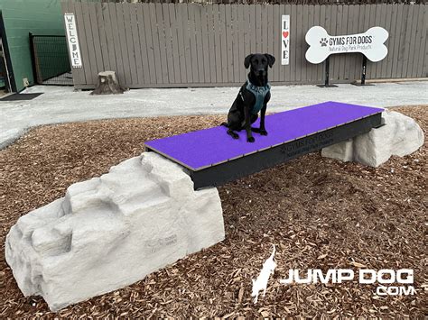 Jump Dog Cushion Sports Performance & Rehabilitation Soft Surfacing