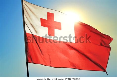 508 Tongan Flag Stock Photos, Images & Photography | Shutterstock