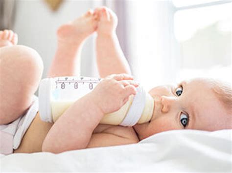 blending infant formula infant formula processing equipment