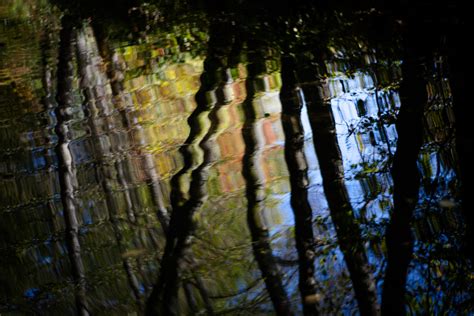 wasserkunst foto bild art nature wald bilder auf fotocommunity