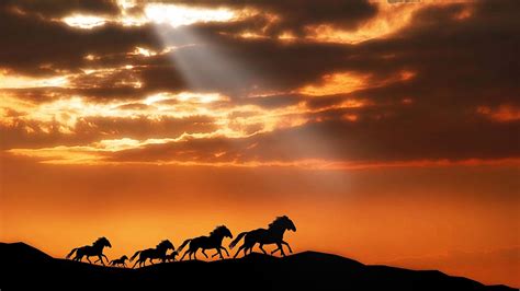 "Wild Horses Run at Sunset" : r/MostBeautiful