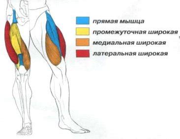Как исправить осанку и распрямить спину: сколиоз у взрослого в домашних ...