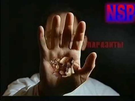 Паразиты. - YouTube