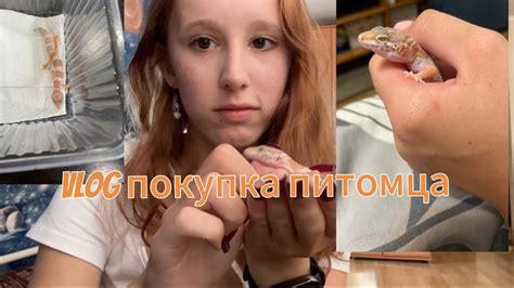 ПОКУПКА ПИТОМЦА!Влог - YouTube