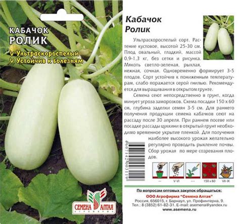Кабачок Ролик: фото, описание сорта, отзывы, характеристика ...