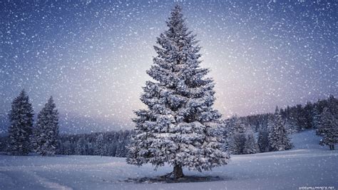3840x2160 Winter Wallpapers - Wallpaper Cave