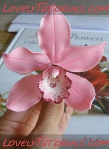Sugar Flowers! | Diy และงานฝีมือ, จัดดอกไม้, งานฝีมือ