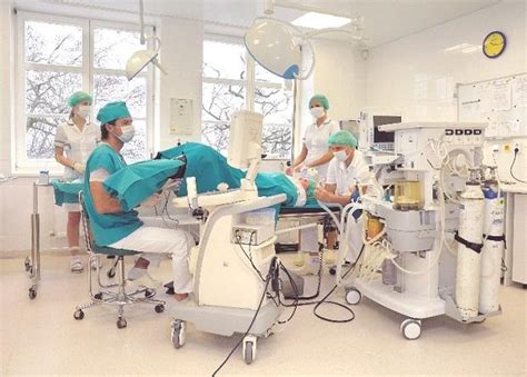 ЭКО после 40 с собственной яйцеклеткой и с донорской, бесплатно по ...