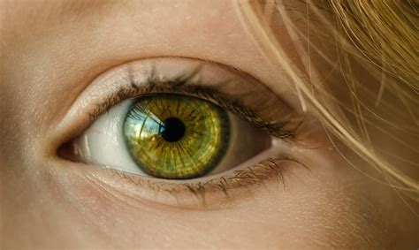 Vision Loss | eSight Eyewear