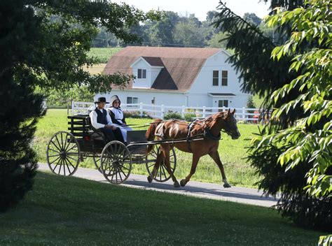 Amish Population In Geauga County at Marlene Davis blog