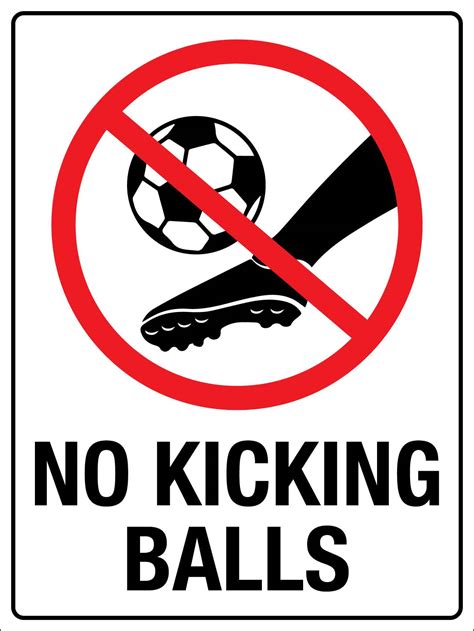 No Kicking Balls Sign – New Signs