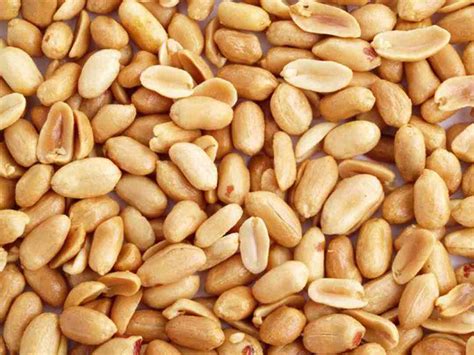 dau phong la gi tim hieu nhung dieu thu vi ban chua biet tonghopaz