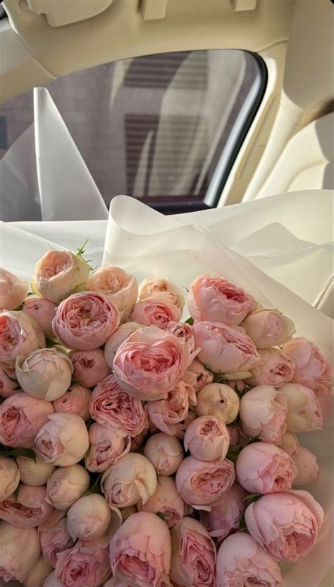 ʝυριƚҽɾ༉‧₊˚. | Beautiful bouquet of flowers, Piones flowers, Flower ...