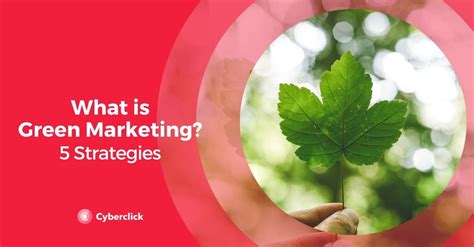 What is Green Marketing? 5 Strategies