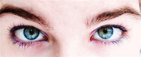 eyeshadow colours gif wifflegif