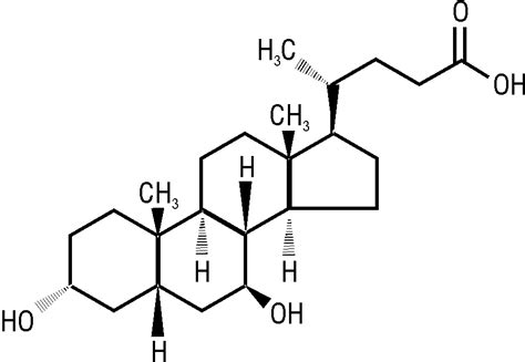 УРСОДЕЗОКСИХОЛЕВАЯ КИСЛОТА (ACIDUM URSODEOXYCHOLICUM) | Активное ...