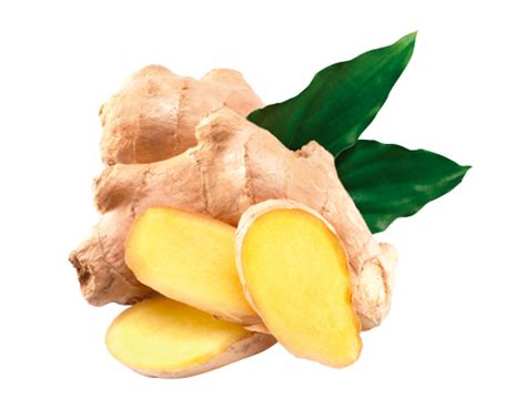 Ginger