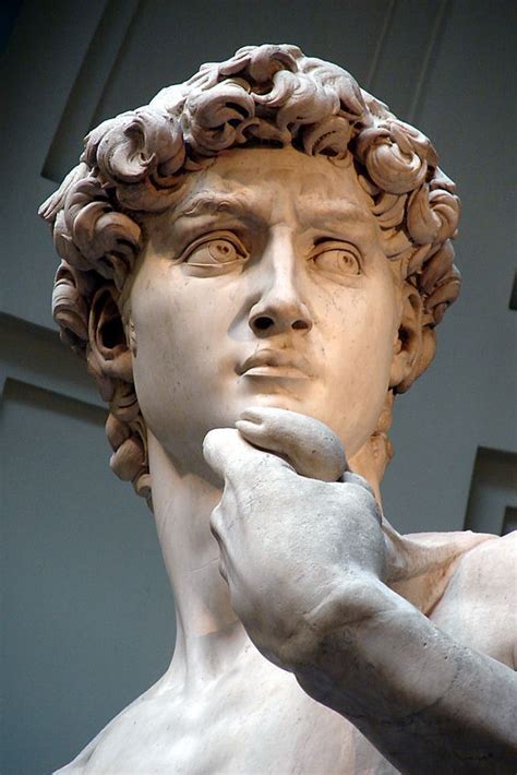 David, Michelangelo Buonarroti, marmo, 1501-1504, Galleria dell ...