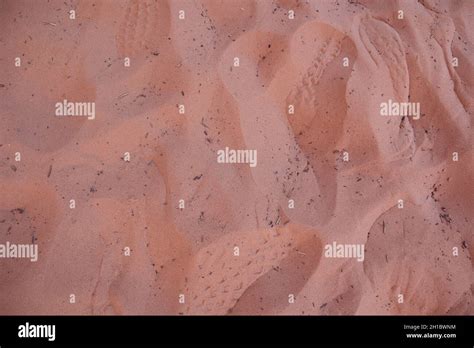 Closeup of the pink sand texture Stock Photo - Alamy