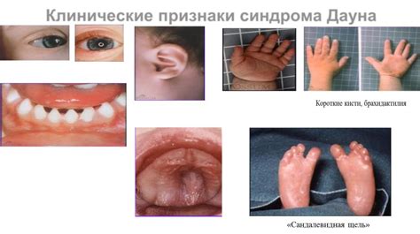 LEKTsIYa_1_MG_2021_16kh9_LECh - Стр 6