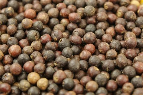Peppercorns Origin: From Kerala's Vines to Global Pantries