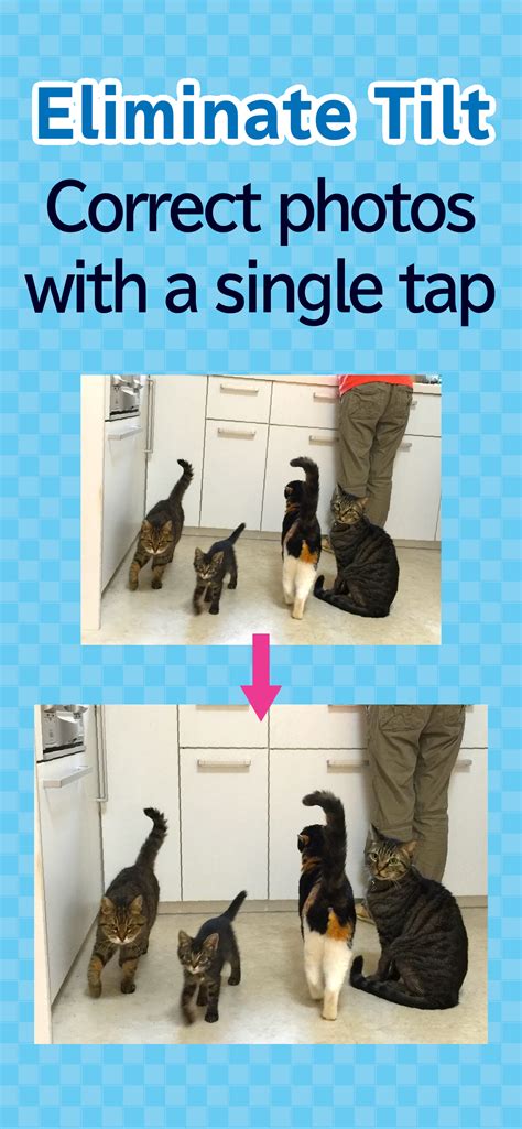 Take better cat pictures with toruneko (aka KittyCam).