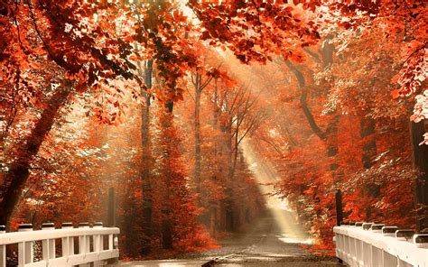 Best Fall Computer Wallpaper Hd Wallpapers Aesthetic Wallpaper Laptop
