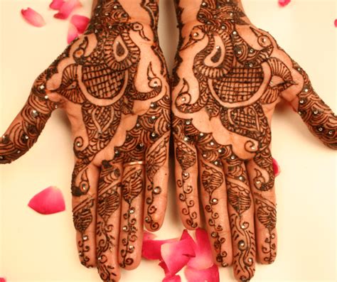 mehndi heena tree greenverz