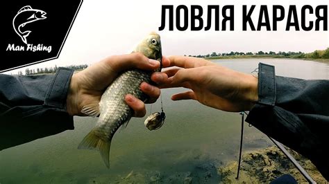Ловля карася осень на поплавок и донку! Очень круто! - YouTube