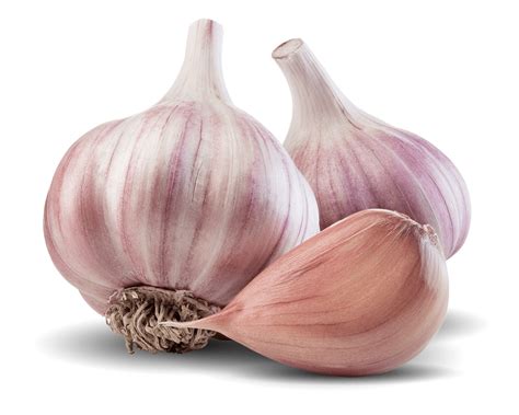 purple garlic spice world