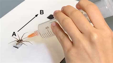Zombie spiders? Scientists turn dead spiders into creepy 'necrobots'