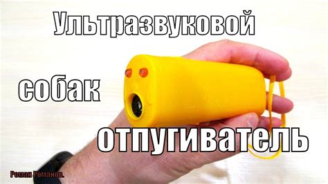 УЛЬТРАЗВУКОВОЙ ОТПУГИВАТЕЛЬ-ДРЕССИРОВЩИК СОБАК,ЧТО ЭТО И КАК РАБОТАЕТ ...