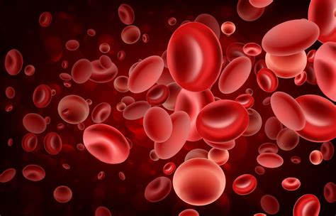 super human red blood cells hide drugs  immune system attack