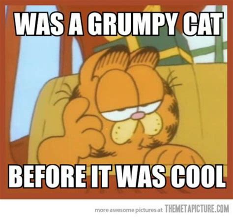 Garfield!!! I Love To Laugh, Make You Smile, Funny Cats, Funny Animals ...