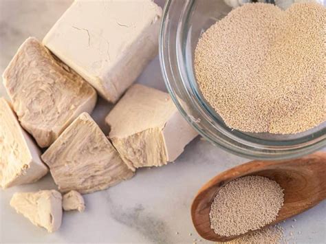 When and How To Use Yeast And/Or Baking Powder – Food & Wine