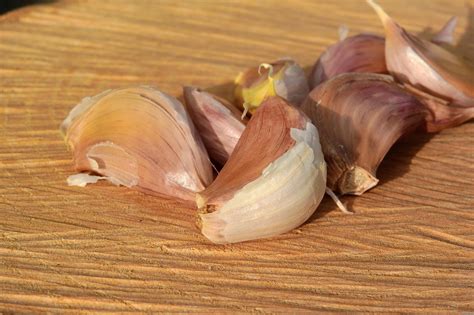 Garlic Clove Of - Free photo on Pixabay - Pixabay