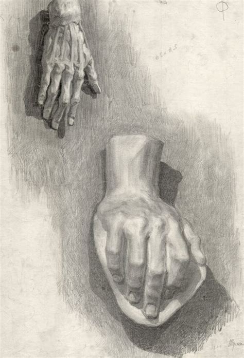 Анатомический рисунок – МАХУ | Anatomy art, Concept art drawing ...
