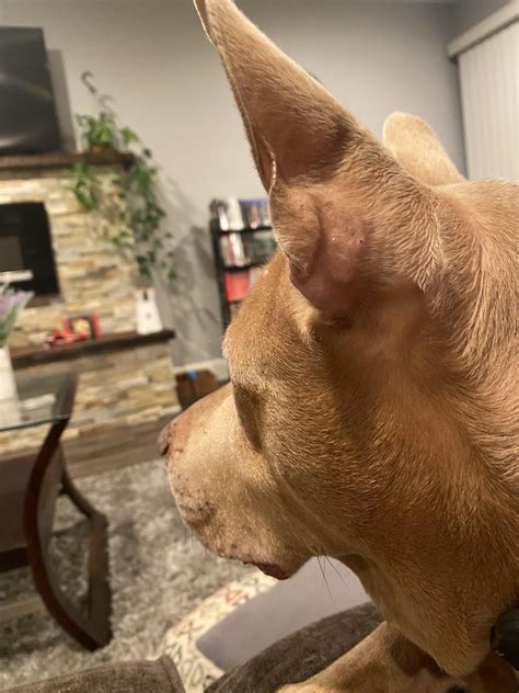 The secret michael davis record that was finally broken today 19