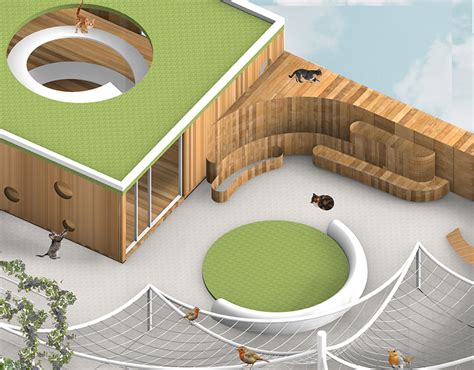 animal rescue shelter  animals behance