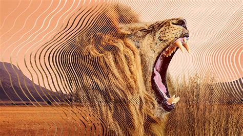 David Attenborough’s Groundbreaking New Series Is Fascinating Telly For ...