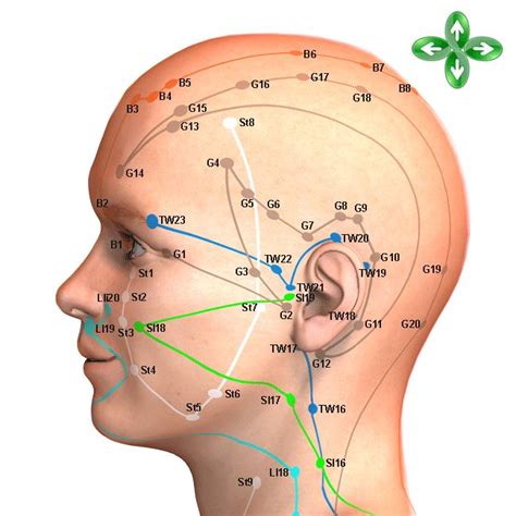 Acupuncture, Acupuncture Points, Massage, Acupressure, TCM, Shiatsu ...