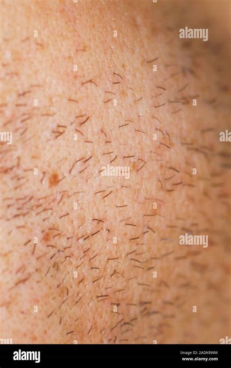 Facial hair. Stubble on a man's face Stock Photo - Alamy