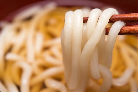 What Is Udon and Popular Udon Recipes | We Love Japanese Food