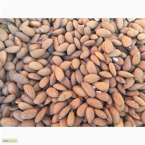 Продам миндаль Калифорнийский, купить миндаль Калифорнийский, Киев ...