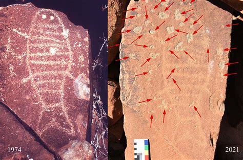 World’s largest collection of ancient rock art threatened by Australia