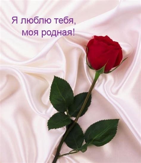 Картинки с надписями "Я люблю тебя" (536 шт.)